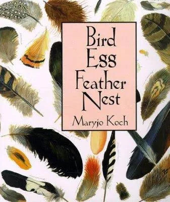 Bird, Egg, Feather, Nest - used