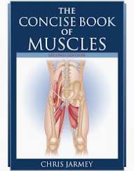 The Concise Book of Muscles-used