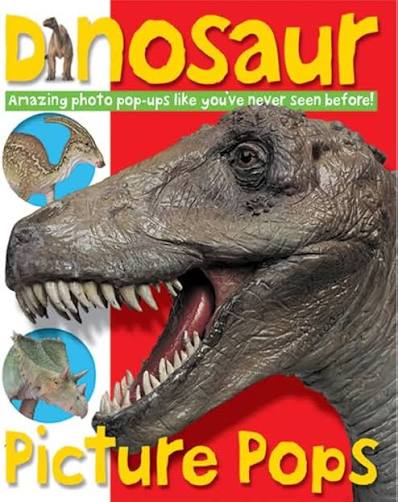 Dinosaur Picture Pops - used