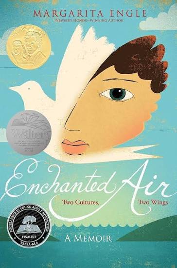 Enchanted Air-used