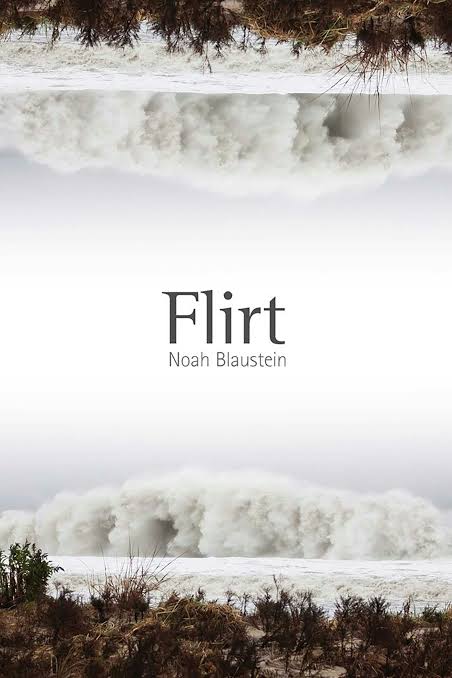 Flirt Poetry Book - used