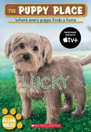 The Pupply Place:  Lucky - used