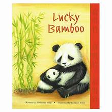 Lucky Bamboo