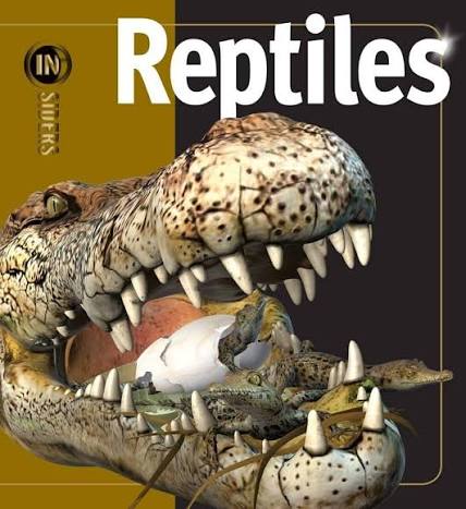 Reptiles - used