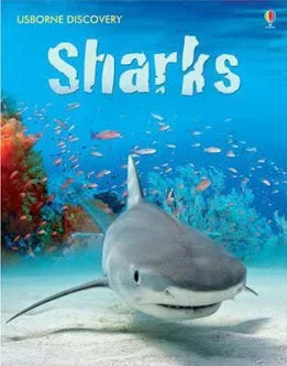 Sharks - used