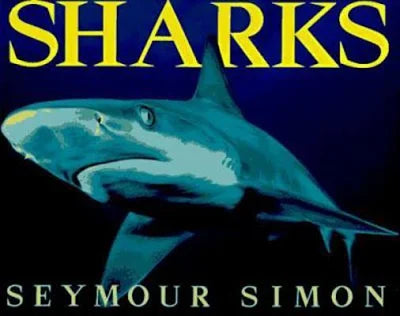 Sharks - Used