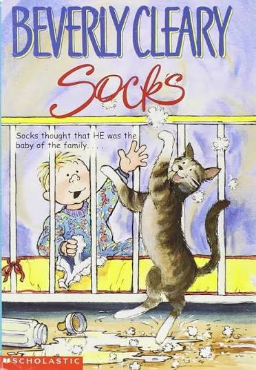 Socks-used
