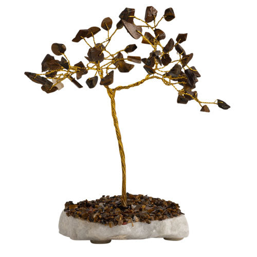 Tiger Eye Tree