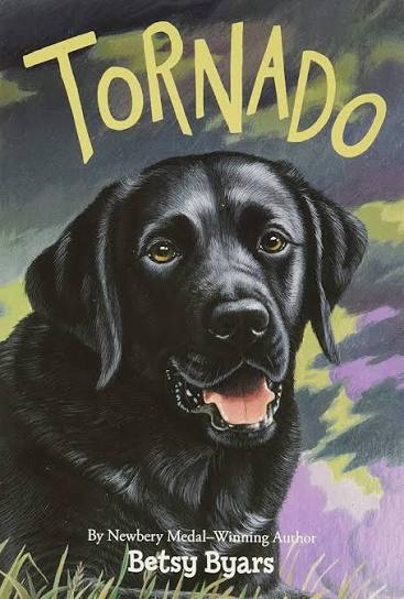 Tornado - used