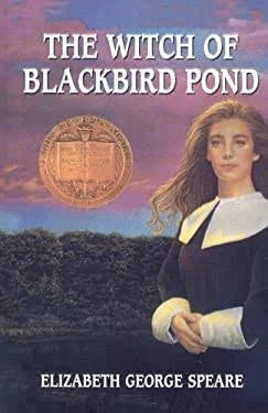 The Witch of Blackbird Pond - used