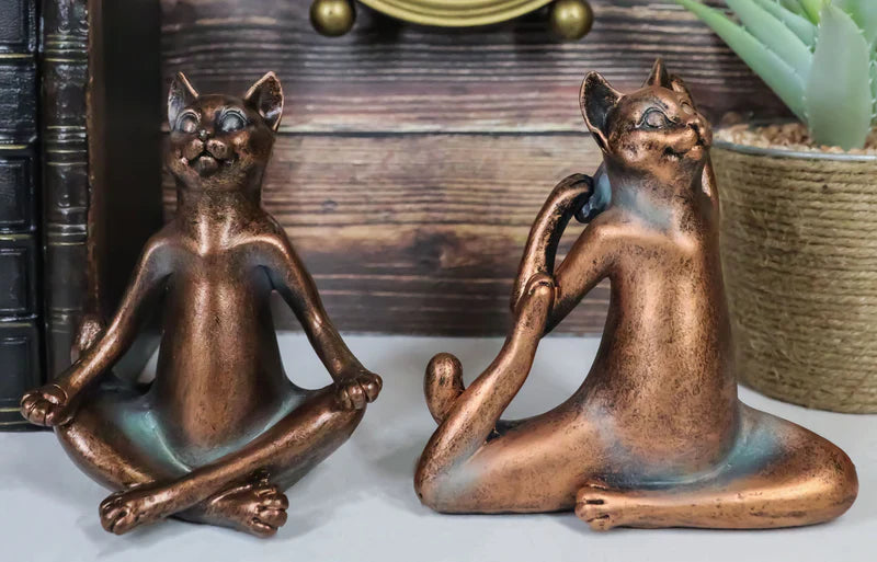 Yoga Kitty